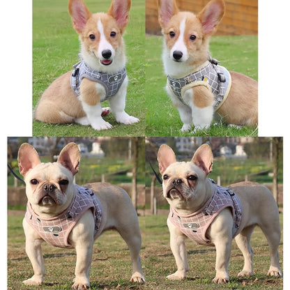 YUDODO Imbracatura in Rete Di Nylon per Animali Imbracatura per Cani Riflettente Guinzaglio Set Gilet per Cani Imbracatura Guinzagli Vestiti per Animali Domestici per Cani Di Piccola Taglia