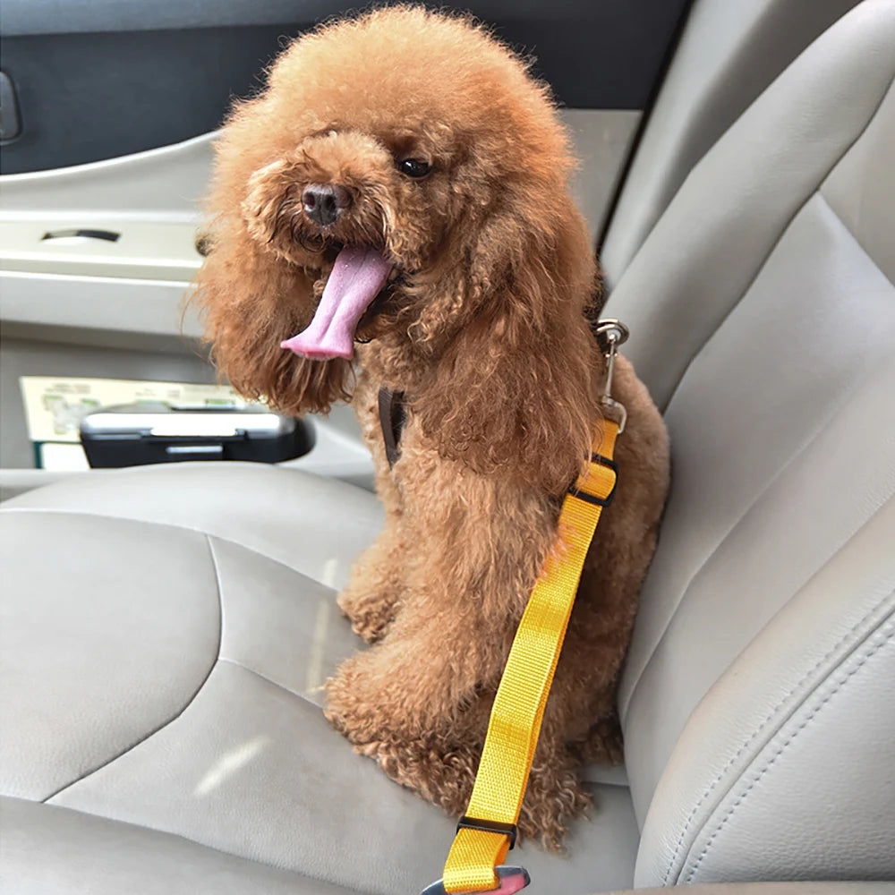 Cane Regolabile Gatto Cintura Di Sicurezza per Auto Veicolo per Animali Domestici Cintura Di Sicurezza Guinzaglio per Cani Viaggio Trazione Collare Imbracatura Cane Piombo Clip Prodotto per Animali Domestici