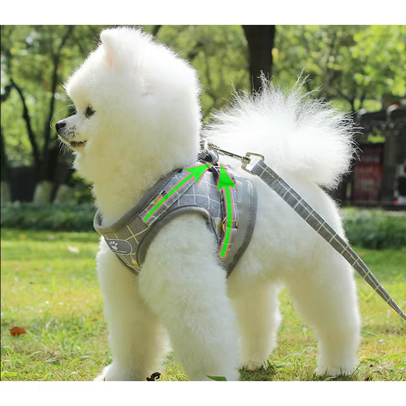 YUDODO Imbracatura in Rete Di Nylon per Animali Imbracatura per Cani Riflettente Guinzaglio Set Gilet per Cani Imbracatura Guinzagli Vestiti per Animali Domestici per Cani Di Piccola Taglia