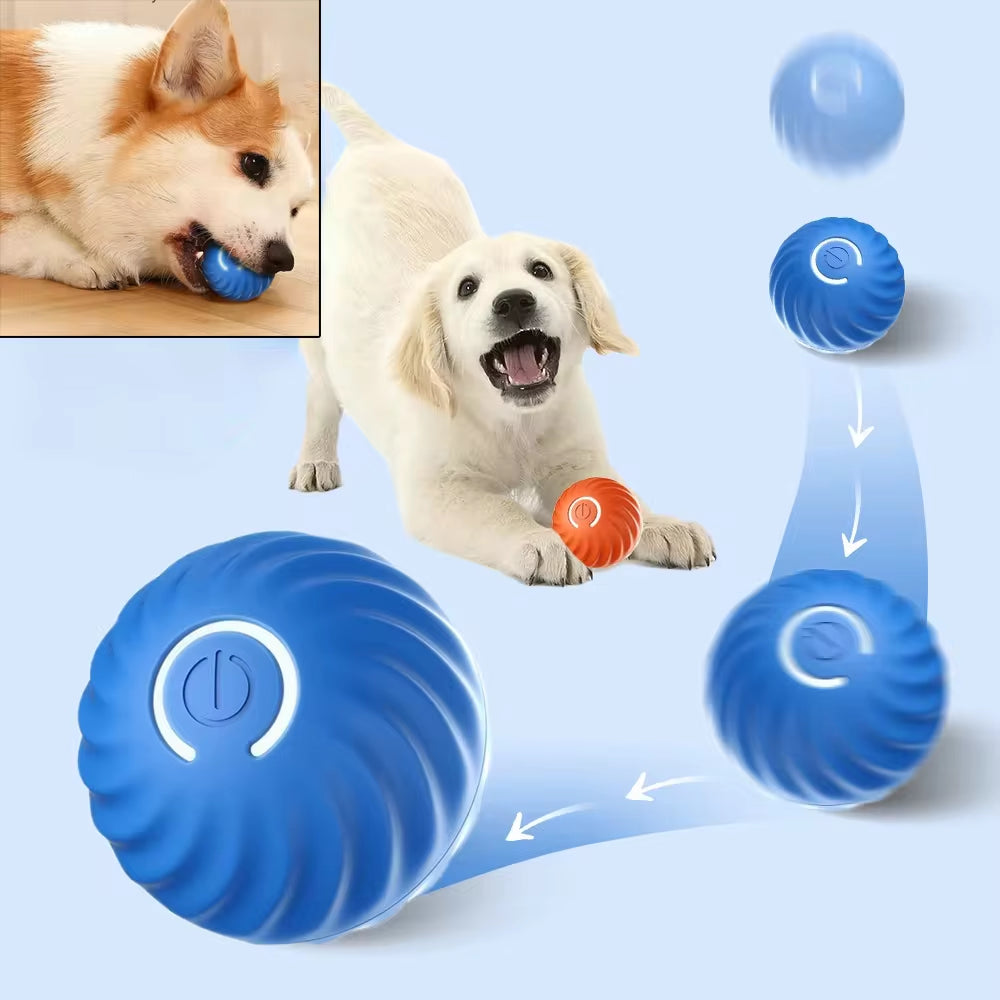 Palla Giocattolo per Cani Palla Rotante Rimbalzante in Movimento Automatico Palla Giocattolo Da Masticare per Cani Interattiva per Cuccioli Intelligenti USB