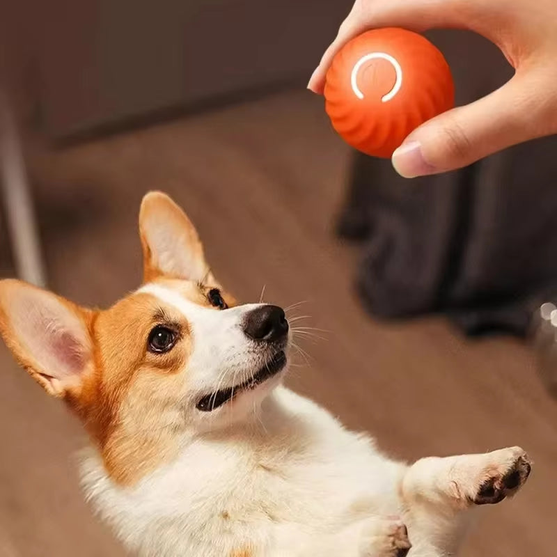 Palla Giocattolo per Cani Palla Rotante Rimbalzante in Movimento Automatico Palla Giocattolo Da Masticare per Cani Interattiva per Cuccioli Intelligenti USB