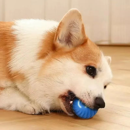 Palla Giocattolo per Cani Palla Rotante Rimbalzante in Movimento Automatico Palla Giocattolo Da Masticare per Cani Interattiva per Cuccioli Intelligenti USB