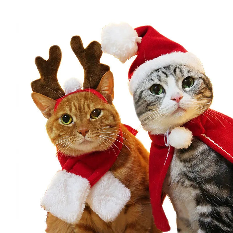 Cappello Di Natale Costume Da Compagnia Di Halloween per Costumi Da Cucciolo Di Cane Gatto Sciarpa Regalo Capodanno Babbo Natale Cosplay Halloween Dog Cat Supply