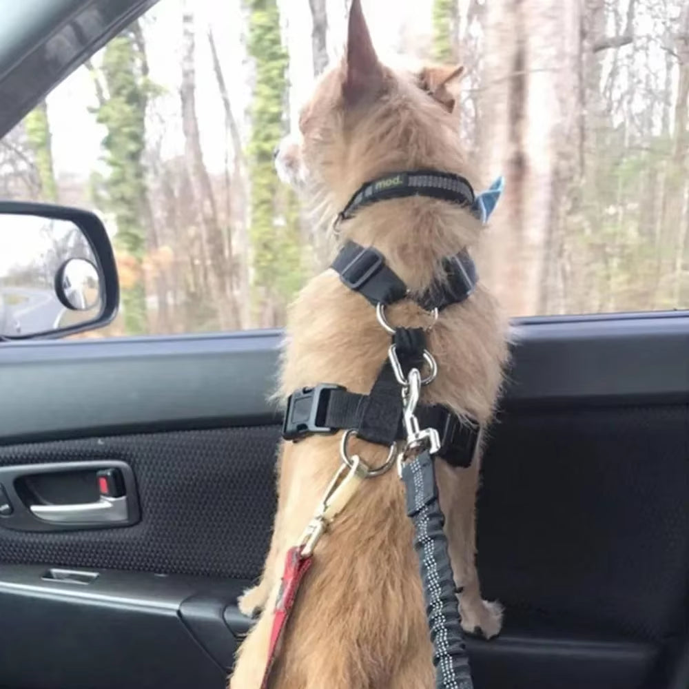 Forniture per Animali Domestici Cintura Di Sicurezza per Auto Cintura Di Sicurezza per Cani Guinzaglio per Cani Cintura per Veicolo Ammortizzazione Regolabile Corda Di Sicurezza Elastica Riflettente per Cani E Gatti