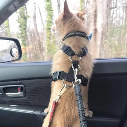 Forniture per Animali Domestici Cintura Di Sicurezza per Auto Cintura Di Sicurezza per Cani Guinzaglio per Cani Cintura per Veicolo Ammortizzazione Regolabile Corda Di Sicurezza Elastica Riflettente per Cani E Gatti