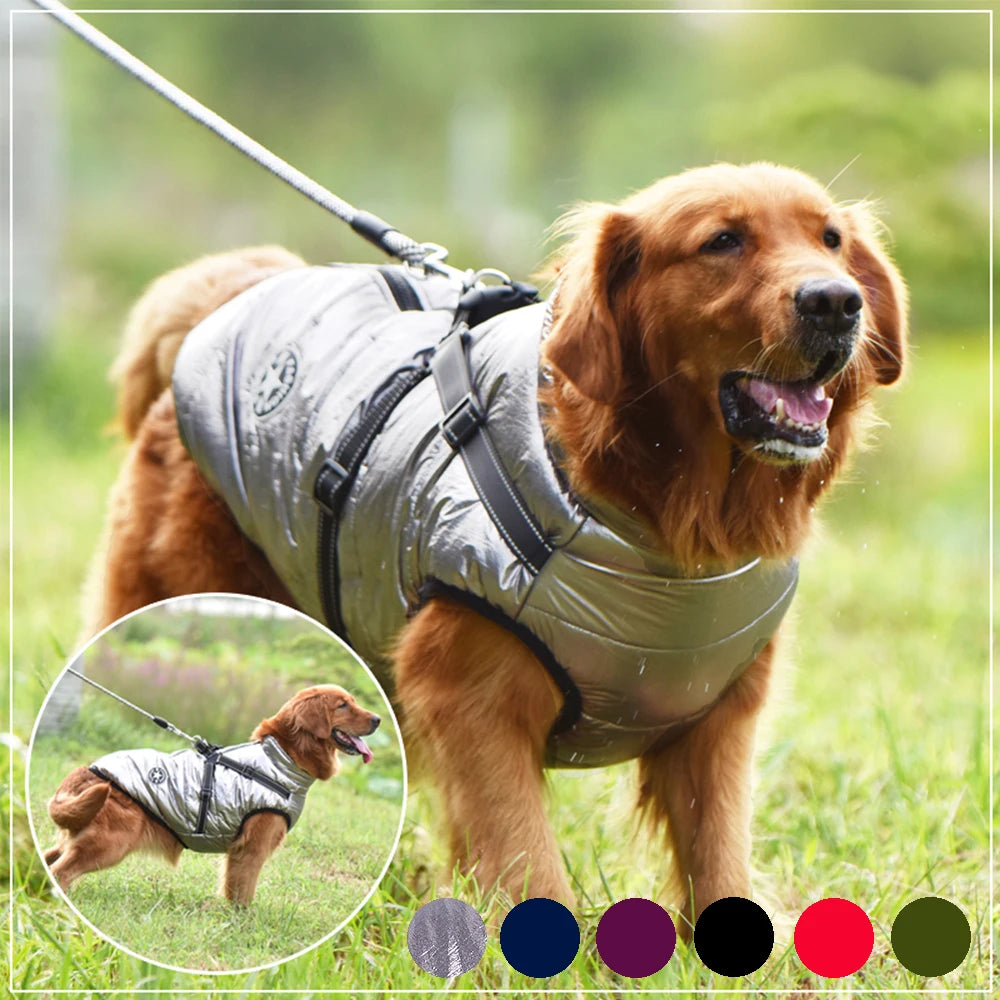 NO Choice NO Aliexpress Imballaggio Invia in 24 Ore Pettorina per Animali Domestici Gilet Abbigliamento Abbigliamento per Cuccioli Giacca Impermeabile per Cani Inverno Caldo