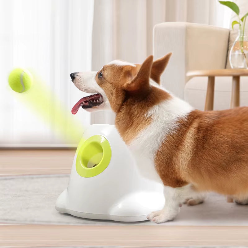 Cane Giocattoli per Animali Domestici Lanciatore Di Tennis Macchina Da Lancio Automatica Dispositivo Di Lancio Di Palline per Animali Domestici 3/6/9M Emissione Di Sezioni Con Addestramento Di Cani a 3 Palline