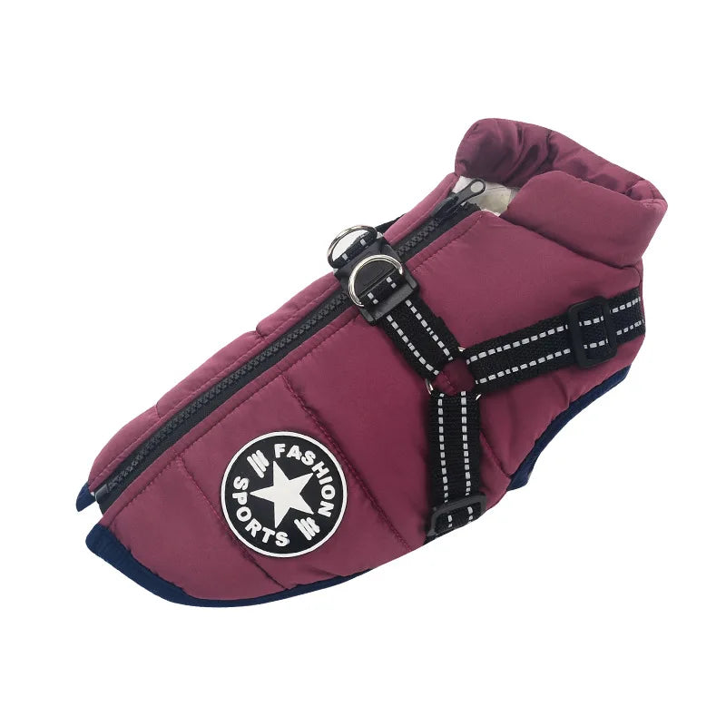 NO Choice NO Aliexpress Imballaggio Invia in 24 Ore Pettorina per Animali Domestici Gilet Abbigliamento Abbigliamento per Cuccioli Giacca Impermeabile per Cani Inverno Caldo